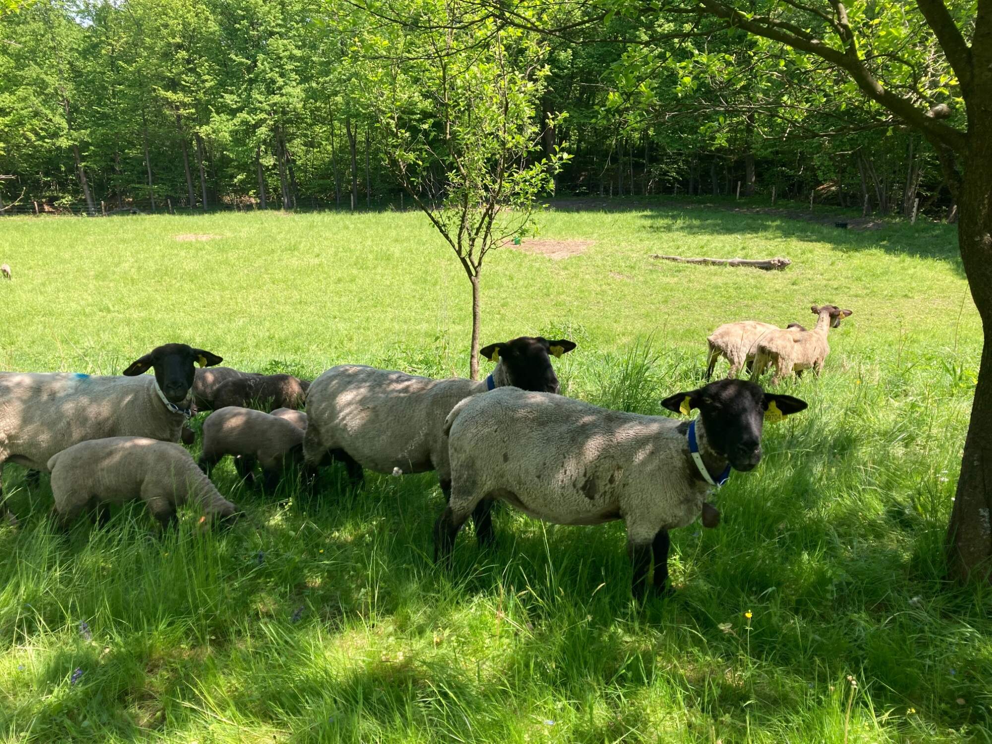 5CC80C82-D117-4AD2-8B9E-BBB48BE95571