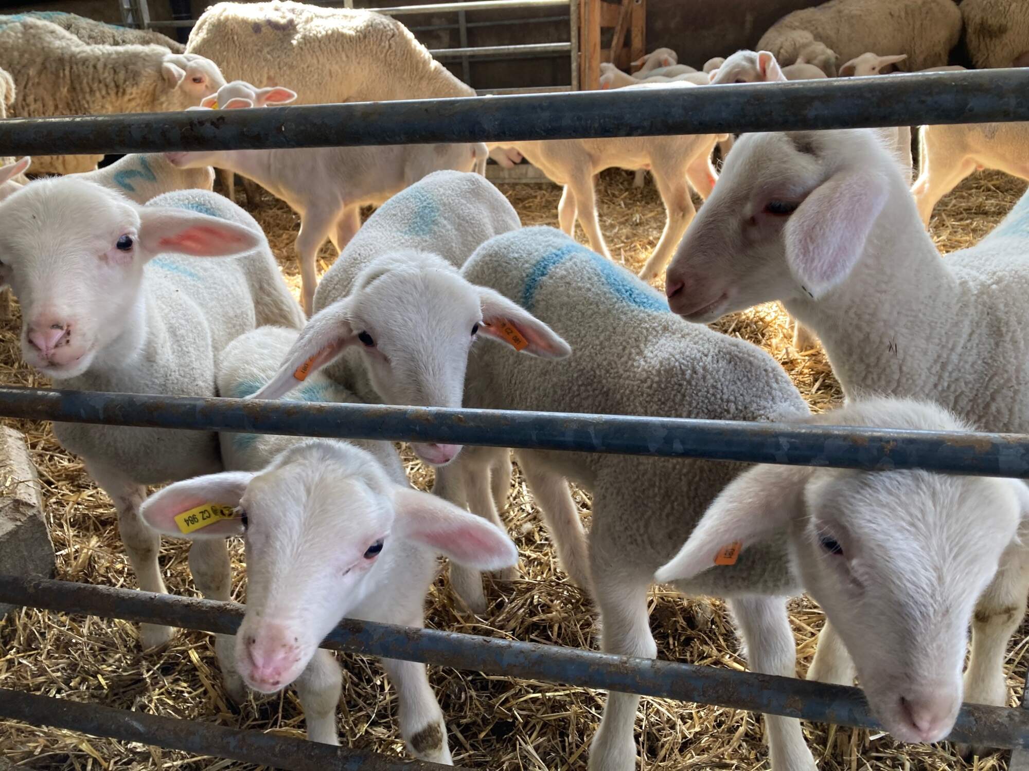 BC812CD0-CAE7-4F0C-896A-EE4E1CFB7804